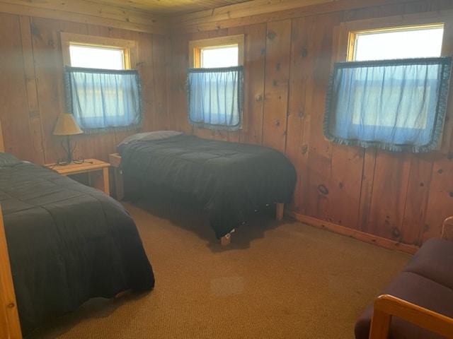 Cabin #5
